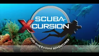 Experience Diving with ScubaXcursion