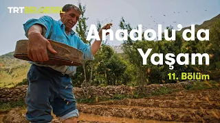 Anadolu'da Yaşam | Doğu Anadolu Bölgesi | TRT Belgesel