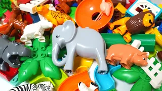 Satisfying Building Blocks Marble Run ASMR Very popular! Collection of animal marble coasters