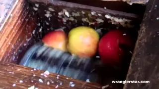 How To Press Apple Cider