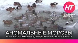 В Новгородскую область пришли аномальные морозы
