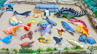 Muddy Dinosaurs & Sea Animal Adventure | T-Rex, Shark, Walrus, Agustinia, Whale, Triceratops!