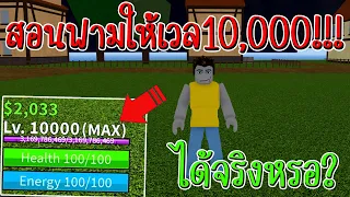 Roblox Bloxfruits สอนฟามให้เลเวล10,000!! จะได้จริงหรือไม่?