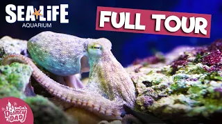 SEA LIFE Aquarium Carlsbad FULL TOUR | LEGOLAND California 2022