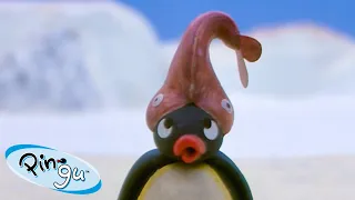 Pingu Plays Sports | Pingu - Official Channel | Cartoons For Kids