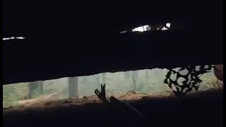 Відео реального бою, зняте на камеру GoPro бійцями Володимирського батальйону 100 ОБр ТрО