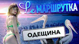 Ле Маршрутка. Одещина