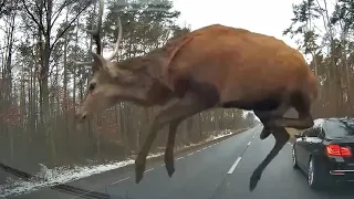 Отримуємо перші подарунки від Миколая 🥰