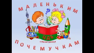 Выпуск 26 Как записаться в библиотеку? Какие правила пользования библиотекой существуют?