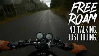 POV Ride Down A Washington Forest Road // Triumph Speed Twin [4K]