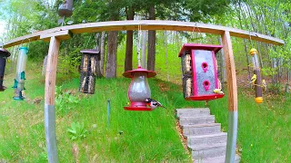 Videos for the kitty cats, and bird lovers.