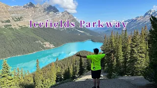 Icefields Parkway: Best scenic drive in the world!