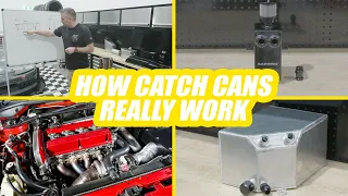 Why EVERY Car Needs an Oil Catch Can or Oil/Air Separator - Motive Tech