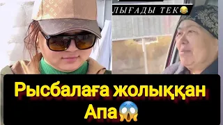 Рысбалаға жолыққан Апа😱