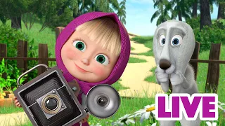 ماشا والدب 👱‍♀️ LIVE STREAM! 🐭🐸 (تقريبا) مرحب بالضيوف 🐭🐸 Masha and the Bear