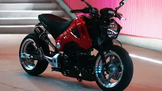 HONDA GROM Night Ride : Low and Stretched #Shorts