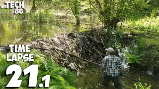 Manual Beaver Dam Removal With My Wife No.21.1 - Time-Lapse Version