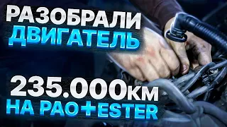 ЧТО БУДЕТ ЕСЛИ ЗАЛИВАТЬ МАСЛО PAO+ESTER / РАЗОБРАЛИ ДВИГАТЕЛЬ НА 236 000 КМ