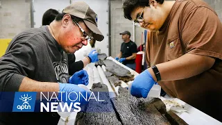 Ancient dugout canoes discovered at the bottom of Lake Mendota in Wisconsin | APTN News