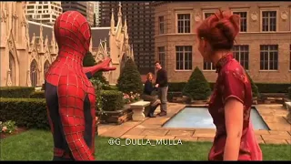 Funny Arab Spiderman