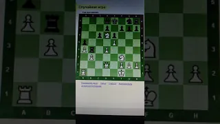 БЛИЦ  ВИЛКА ЕСТЬ РАЗВИТИЯ НЕТ  ШАХМАТЫ CHESS