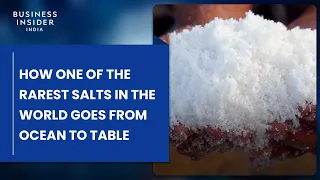 How One Of The Rarest Salts In The World Goes From Ocean To Table