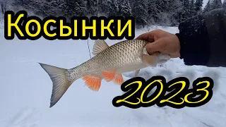 ЭТО ЧТО ТАКОЕ? КАК ИХ ВЫТАЩИТЬ. Рыбалка на Косынки 2023.