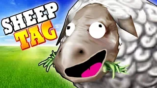 Sheep Tag