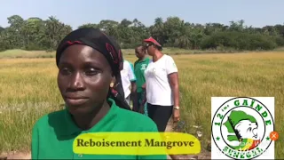 72h Allez cassa journée Reboisement Mangrove à Medina Boudialabou