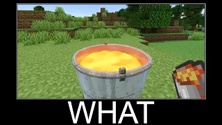 Minecraft realistic wait what meme, Lava, Water, Slime #417