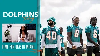 OTAS HAVE ARRIVED | DOLPHINS TODAY