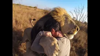 Unbelievable Friendship! People and Wild Animals, Amazing!