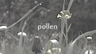 taylor swift / bon iver type instrumental - pollen