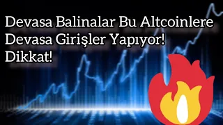 Devasa Balinalar Bu Altcoinlere Devasa Girişler Yapıyor! Dikkat! | Kripto Haber.