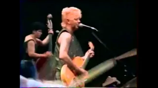 STRAY CATS - (She's) Sexy And 17