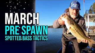 March Pre Spawn Spotted Bass Tactics #lakelanierfishing2024  #bassfishing