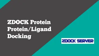 Bioinformatics: Zdock Protein Protein  Ligand Docking | BioCode Ltd