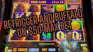 Back-2-back $50 max bet bonuses on Buffalo Link