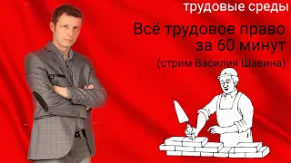 Всё трудовое право за 60 минут