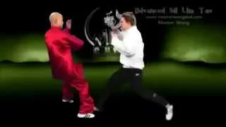 Wing Chun Kung Fu siu lim tao Preview