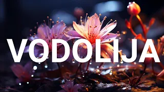 VODOLIJA TAROT HOROSKOP 💥 SUDBINA ĆE VAM OTVORITI PUT