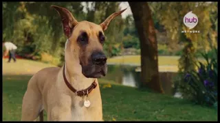 Hub Family Movie - Marmaduke (Promo) - Hub Network