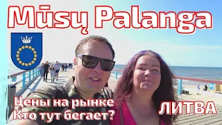 Palanga. Летняя столица и курорт. Литва. #lietuva #palanga