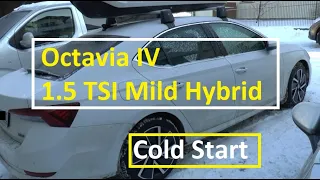 Skoda Octavia 1.5 Mild Hybrid bez rozrusznika | Zimny start | Cold Start