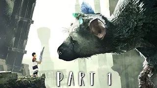 THE LAST GUARDIAN Walkthrough Gameplay Part 1 - Trico (PS5)