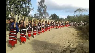 Ajei Kamei - Kamthao Dikho | ZLR Patriotic Song | For the unity Of ZLR | Rongmei Online