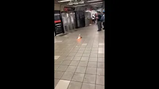 Man lights newspaper on fire in NYC subway system
