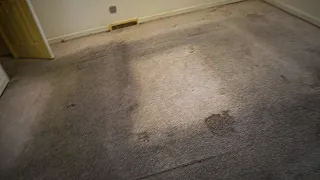 Heavily soiled rental unit carpet cleaning || I can’t believe the carpet is this dirty!