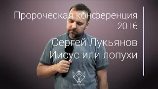 Сергей Лукьянов  - Иисус или лопухи