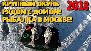 Ловля крупных окуней зимой со льда!  Зимняя рыбалка 2018 в Москве!